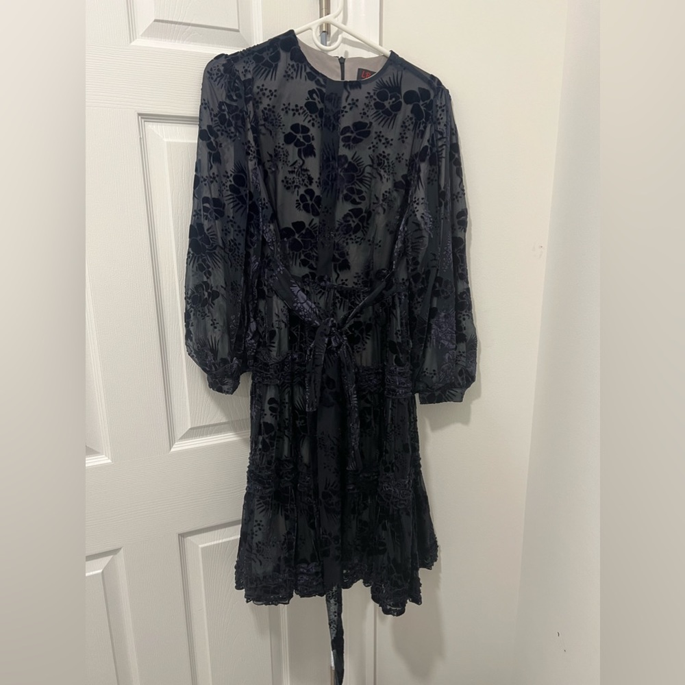 Legally Red Purple Velvet Dress